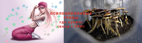 прущая мука Абинск