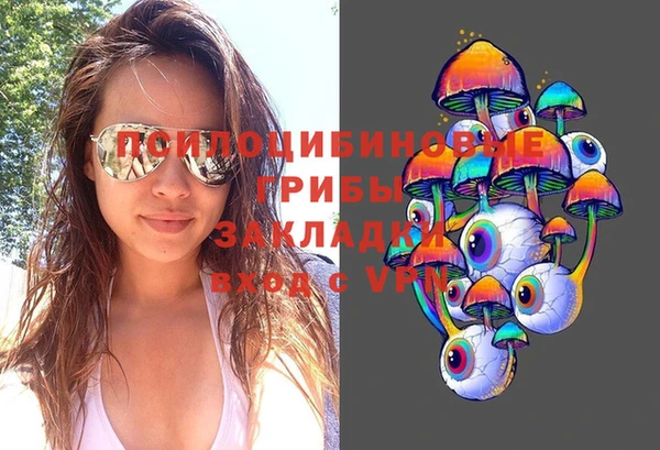 МДПВ Абаза