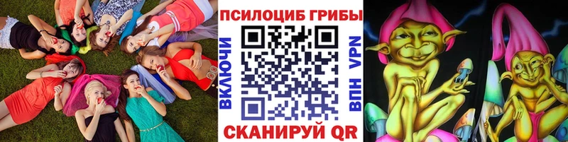 Псилоцибиновые грибы прущие грибы Питкяранта